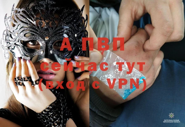 дурь Инта