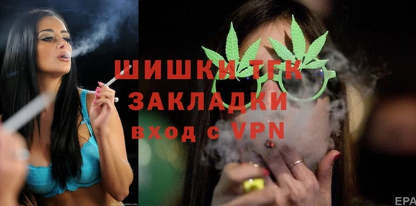 дурь Инта