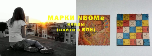 дурь Инта