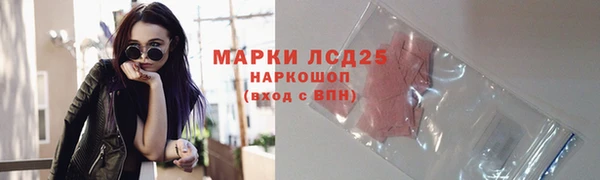 дурь Инта