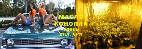дурь Инта