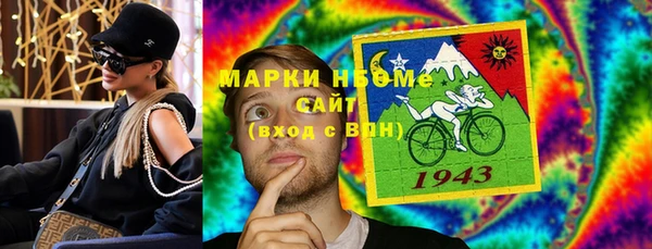 дурь Инта