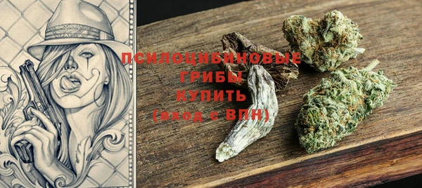 дурь Инта