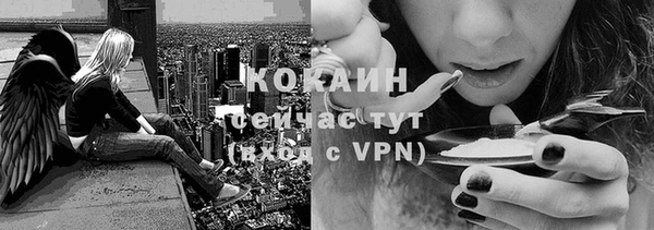 дурь Инта