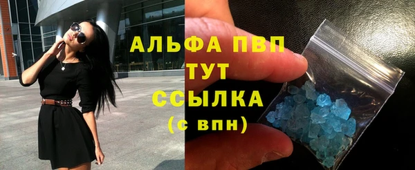 дурь Инта