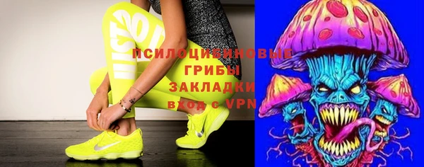 дурь Инта