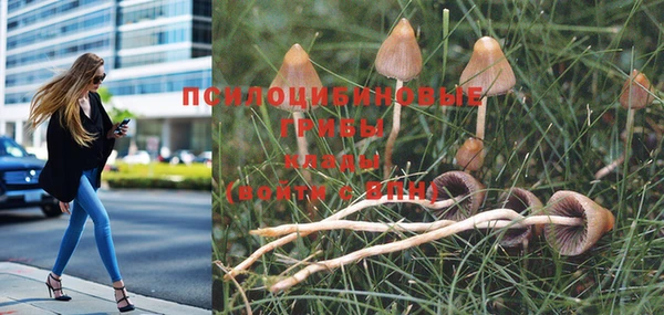 кокаин перу Инсар