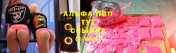 дурь Инта