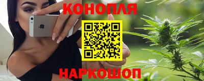 PSILOCYBIN Кулебаки