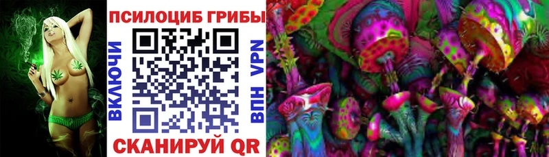 где можно купить   OMG ССЫЛКА  Псилоцибиновые грибы MAGIC MUSHROOMS  Ишимбай 