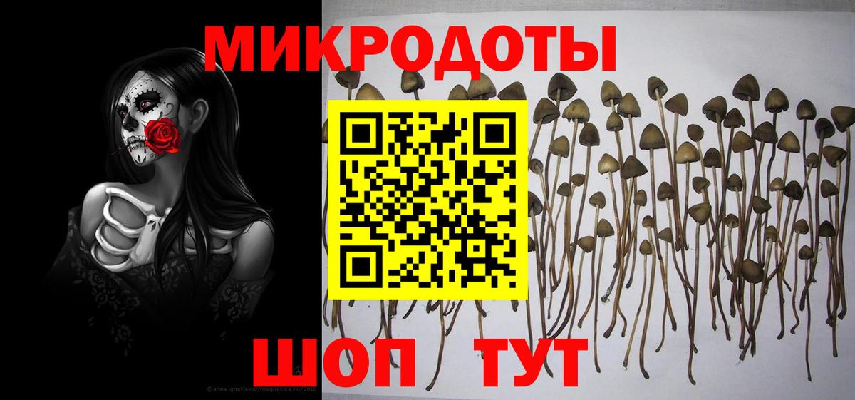 сколько стоит  Вход с VPN  Ишимбай  Псилоцибиновые грибы GOLDEN TEACHER 